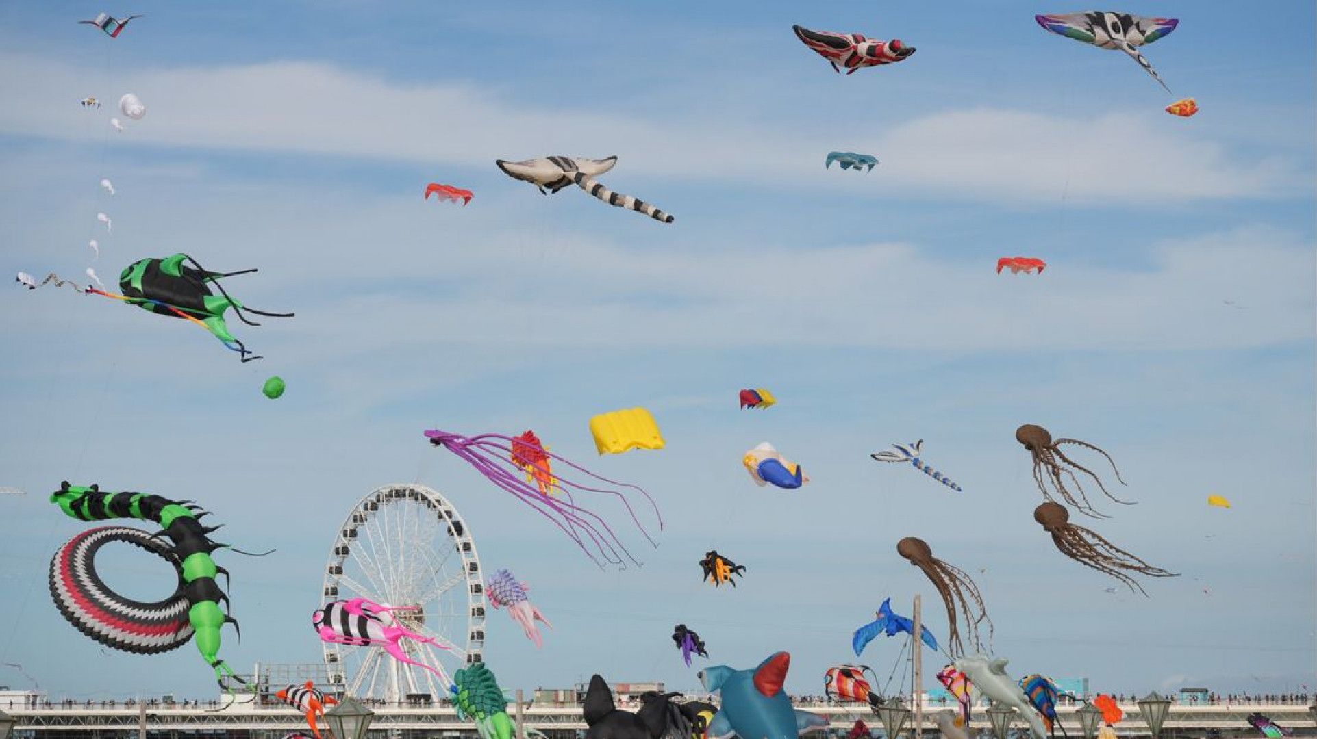 Zaterdag was de wind goed en gingen honderden vliegers de lucht in