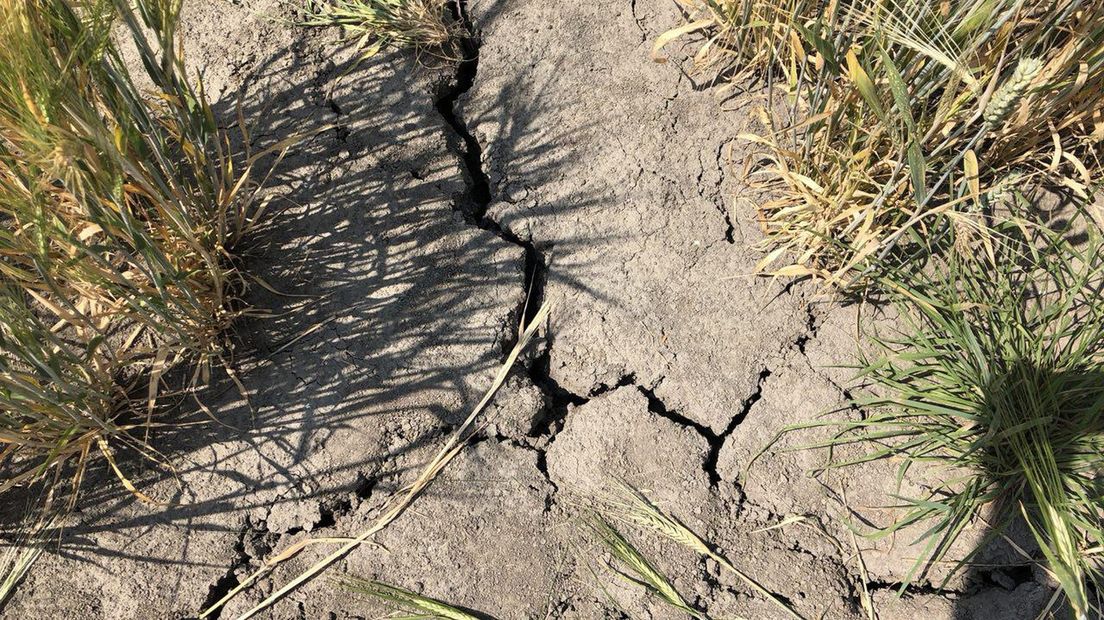 Droogtescheuren in de grond