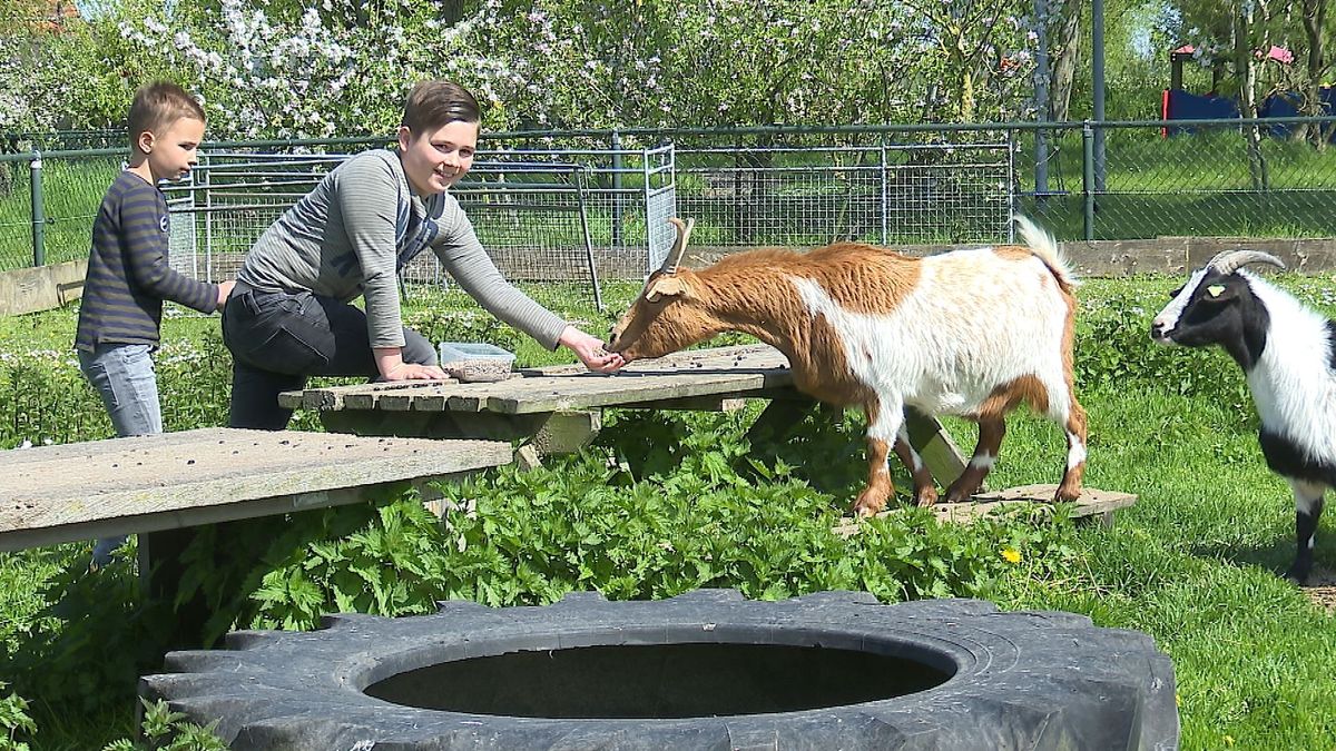 Na 23 jaar sluit zorgboerderij Jodi Sintepier in Nieuwvliet noodgedwongen de deuren