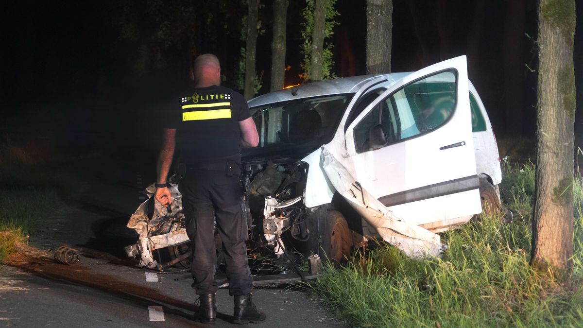 Bestelbus botst tegen meerdere bomen bij Oosterhesselen, bestuurder slaat op de vlucht