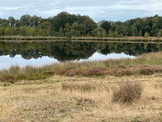 Dit wordt het weer: na nachtvorst kan korte broek weer uit de kast