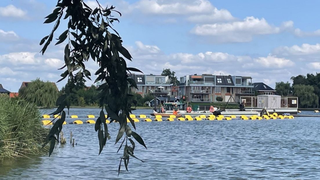 De werkzaamheden op de plassen, in de buurt van Ter Aar