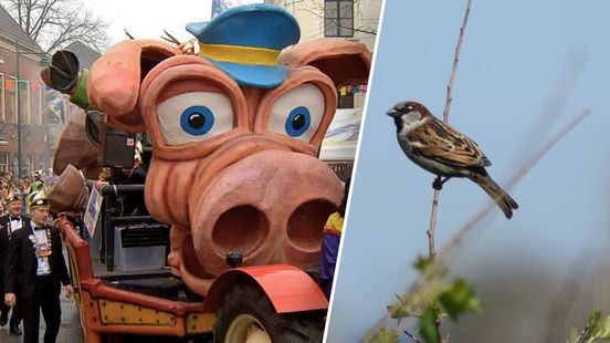 Dit is er dit weekend te doen in Gelderland