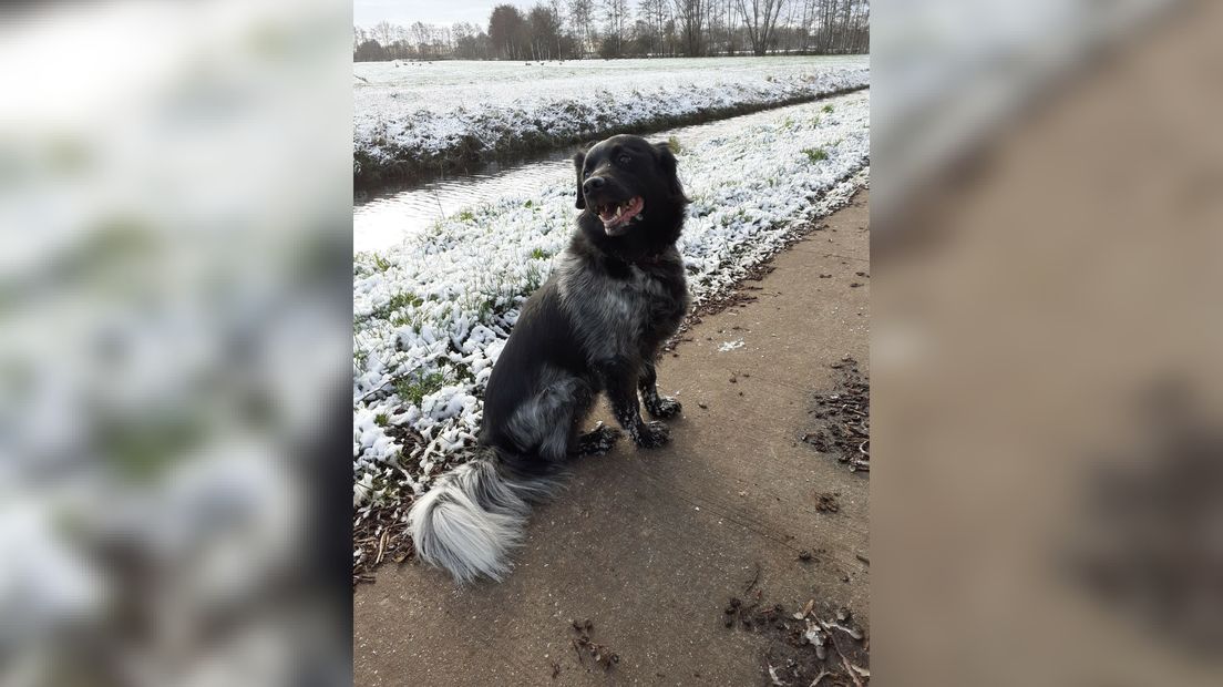 Gurbe fan baaske Titie Doornhein-van der Woude