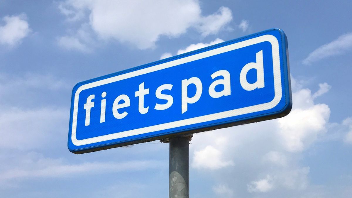 Twijzelerheide krijgt veilig fietspad langs het Wyldpaed