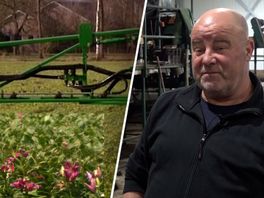 Agrariër Hans Eelderink stopt met zijn lelieteelt.