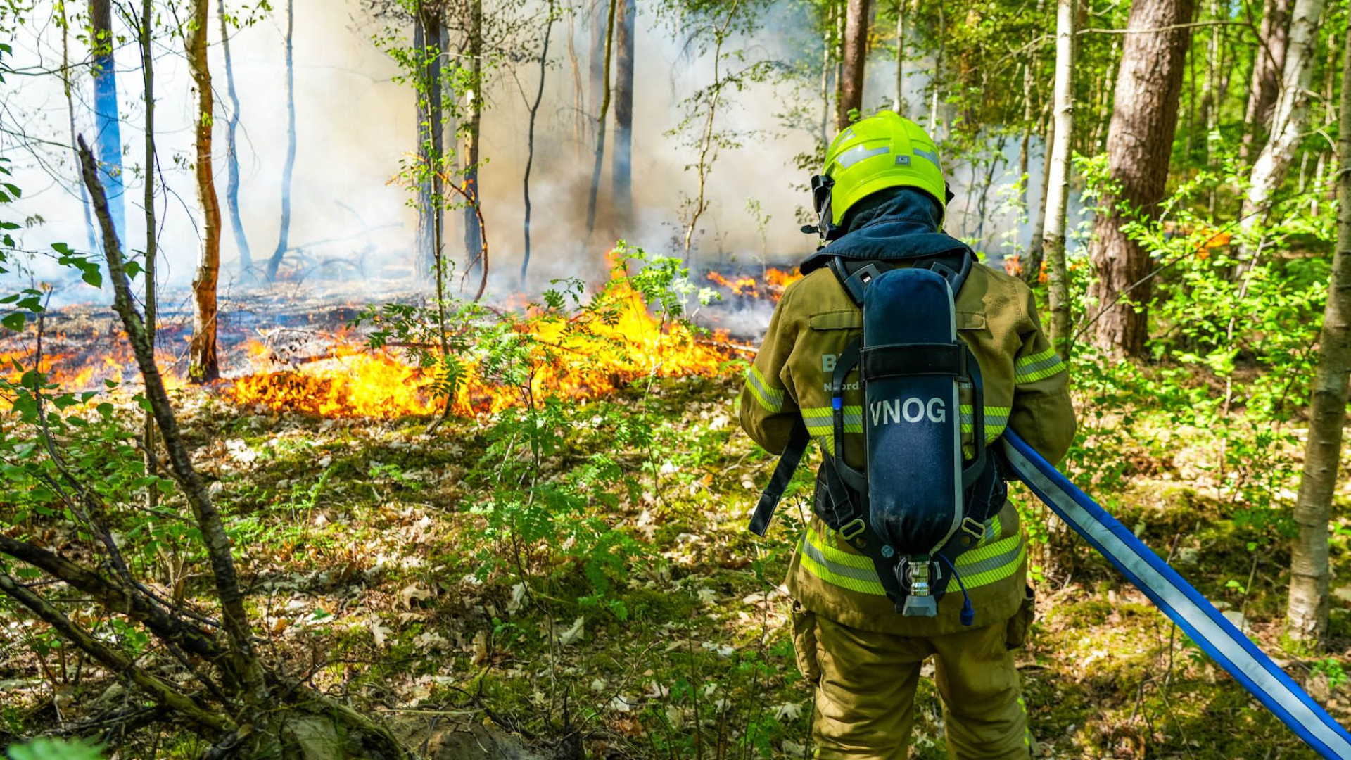 Brand Kootwijk: wat u moet weten — image 3