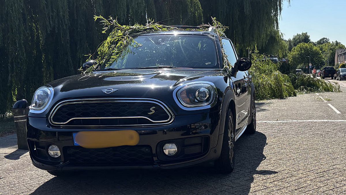 Boomtak breekt af en valt op rijdende auto met open dakraam