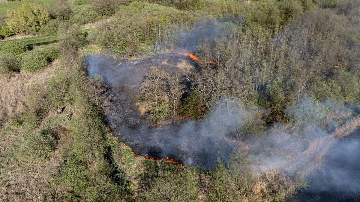Natuurbrand in Wolvega