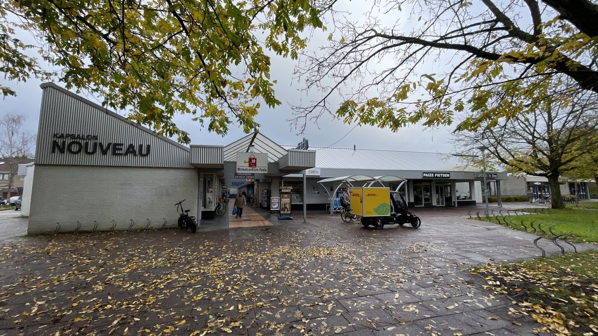 'Verouderd winkelcentrum Peelo in Assen dringend aan opknapbeurt toe'