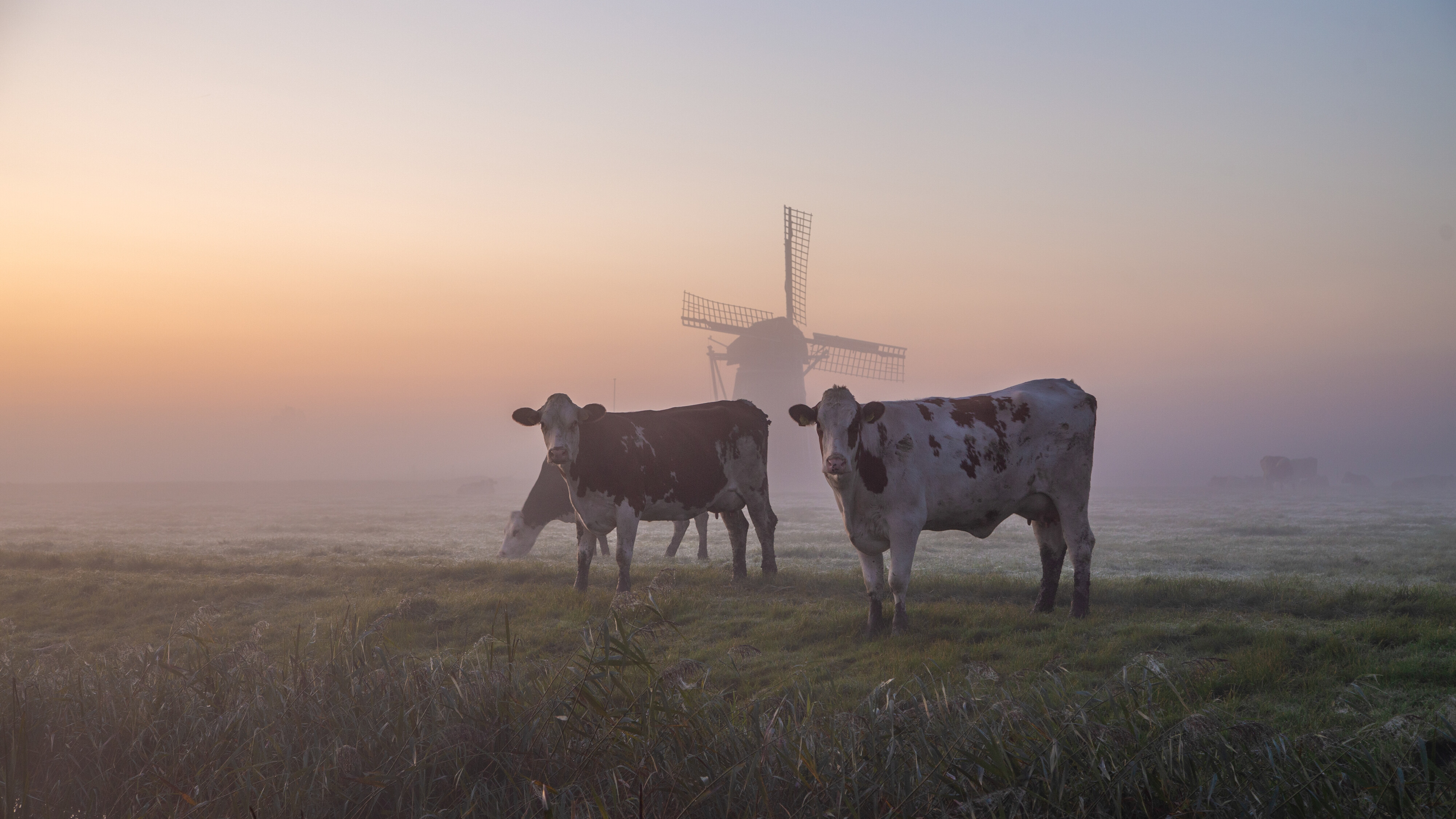 In de eerste week van oktober was er voor het eerst weer nachtvorst