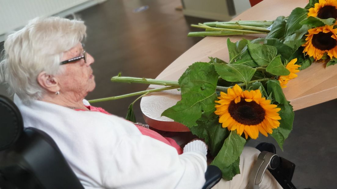 Zonnebloemen voor zorgcentrum De Vijverhof in Assen