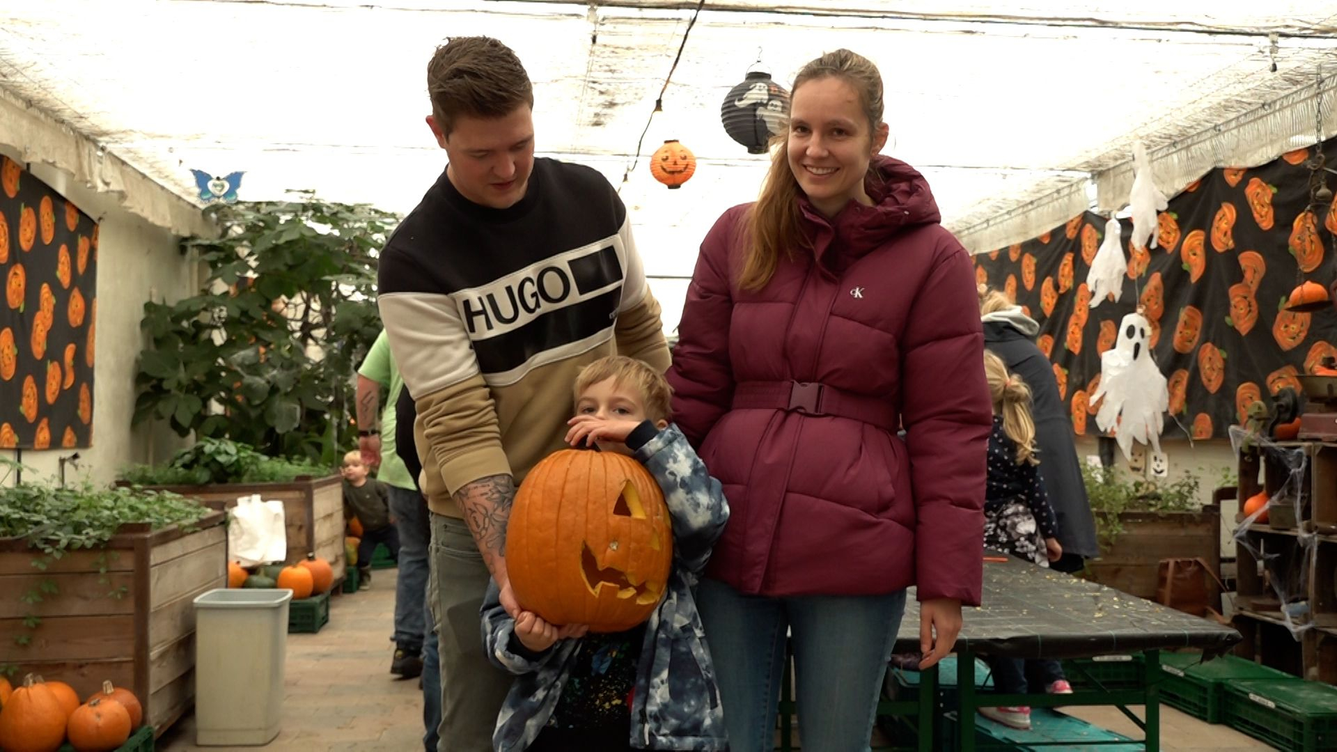 Halloween 'drama': de pompoenoogst valt tegen