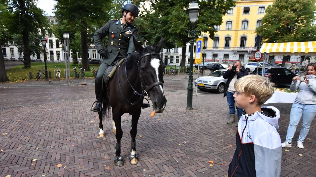 Paardenlunch op het Lange Voorhout