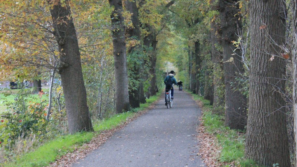 Bewoonster boerderij langs veelbesproken fietspad in Oosterboer: 'Mijn kinderen zien de agressie'