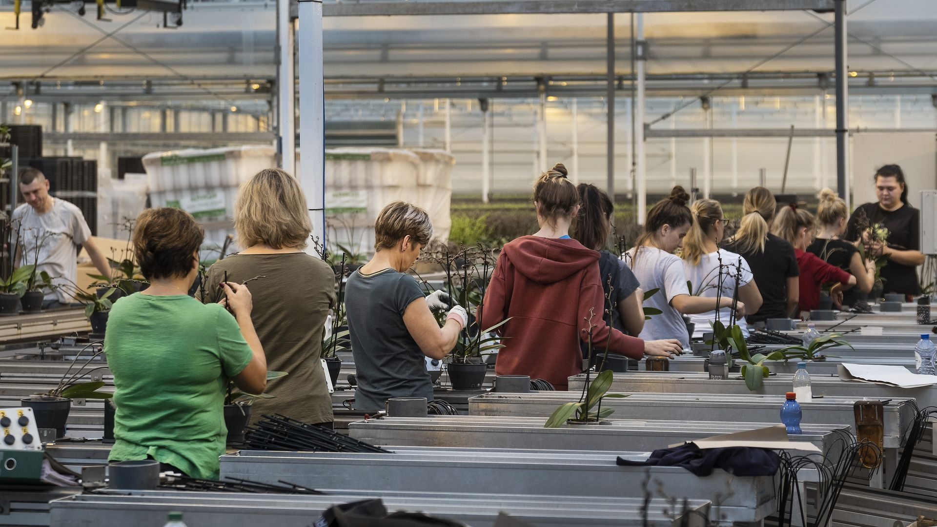 Diverse overtredingen bij controle huisvesting arbeidsmigranten