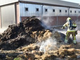 Brand Beuningen : ce qu'il faut savoir — image 6