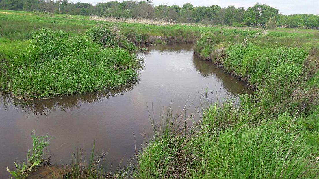 Van de bijna vierhonderd kandidaten van de waterschappen in Drenthe, is maar een vierde vrouw (Rechten: RTV Drenthe/Erwin Kikkers)