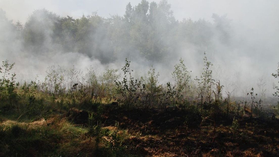 Natuurbrand in Bornerbroek