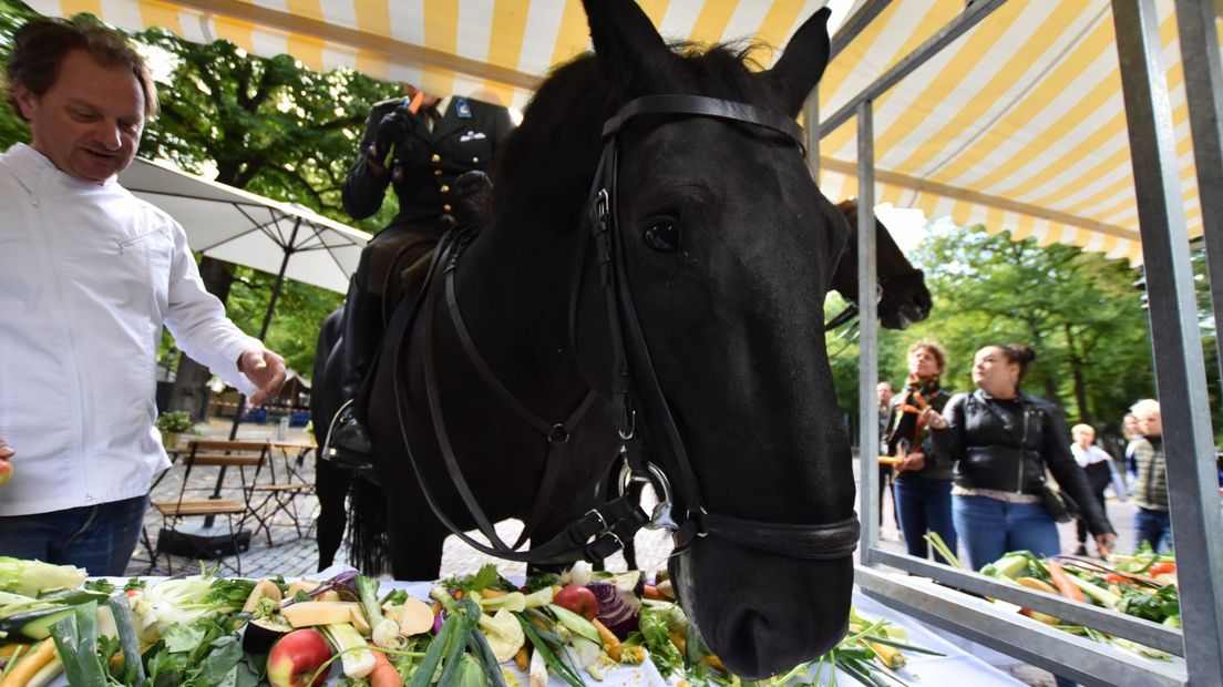 Paardenlunch op het Lange Voorhout