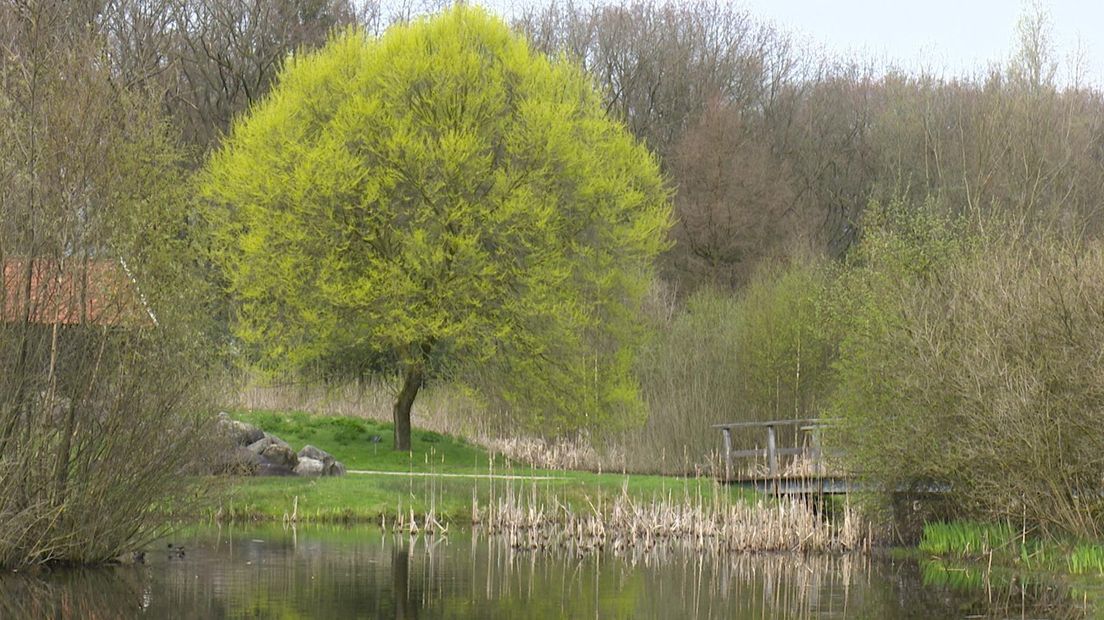 Regio Twente draagt het Arboretum Poort-Bulten over aan Natuurmonumenten