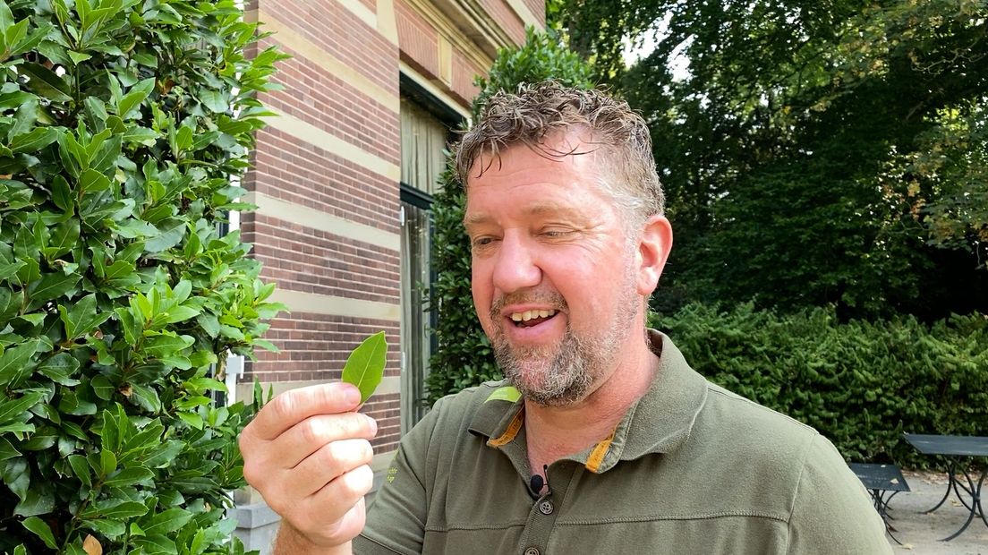 Boswachter Joris Hellevoort kwam op het idee om een zeepje te maken voor het 900-jarige bestaan van Landgoed Oostbroek