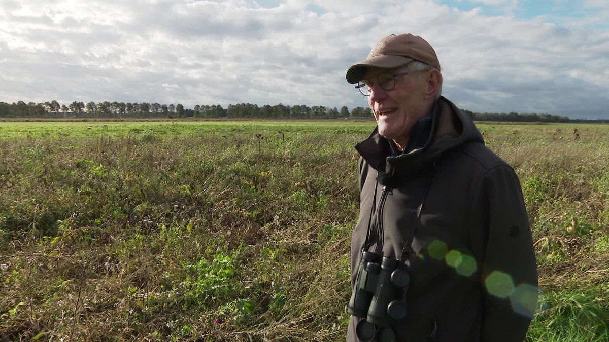 Vrijwilligers in Zwiggelte zetten zich in voor de patrijs