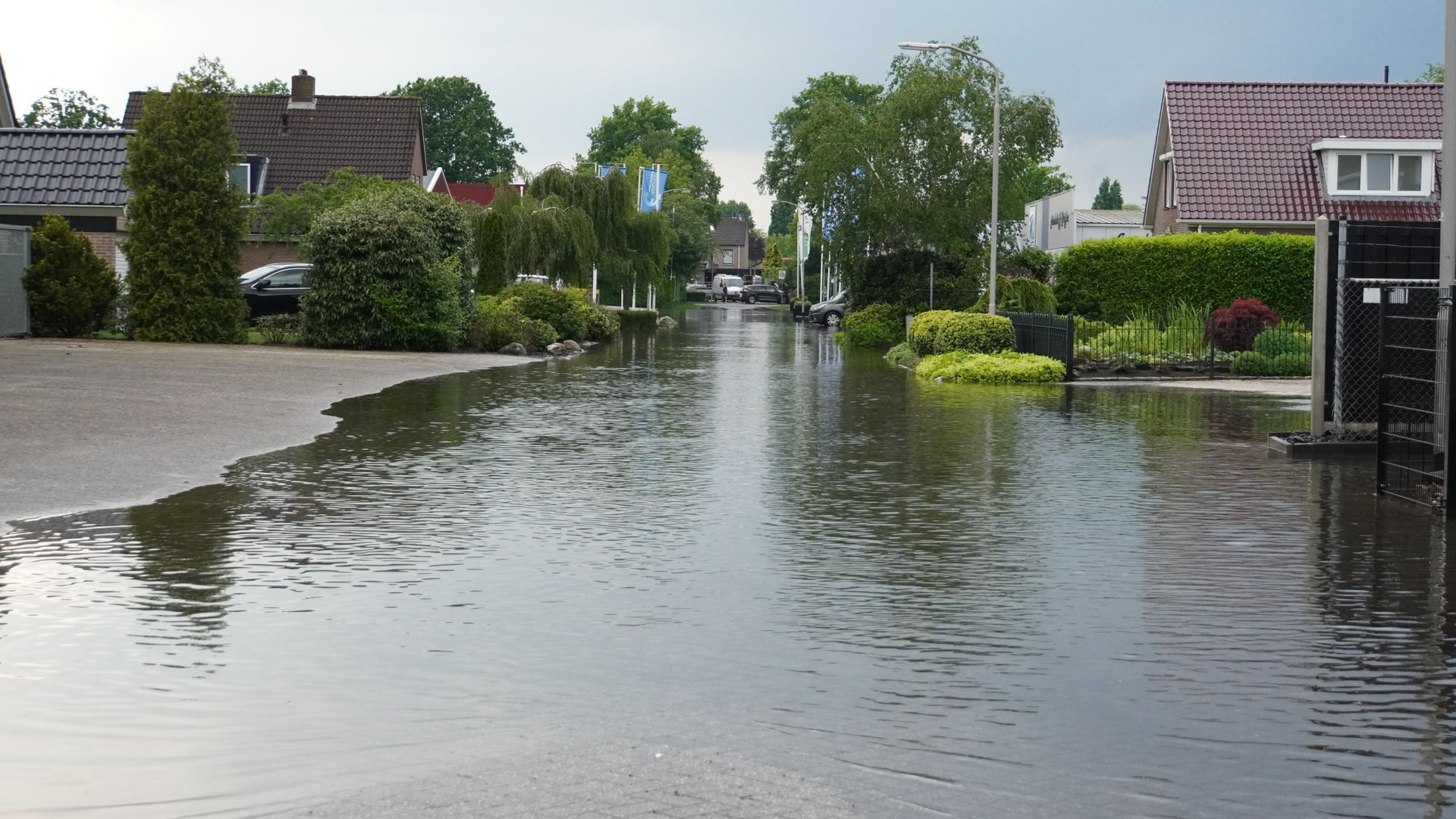 Weinig Schademeldingen Na Regenval, Maar Voor Boeren Is Het Afwachten ...