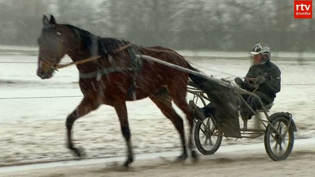 Pikeur Rick Ebbinge al vijf jaar oppermachtig in eigen land (foto RTV Drenthe)