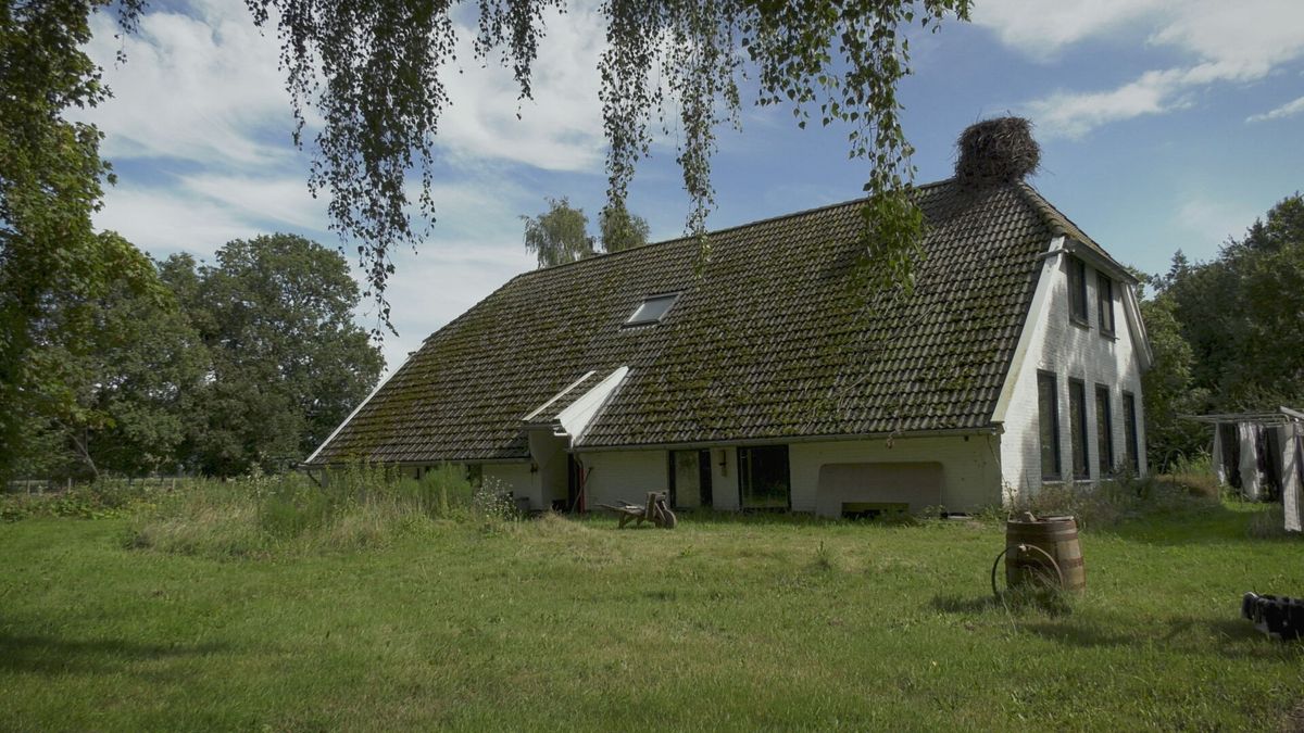 De O'Hanlons in Koekange: van deze tuin ga je schrijven