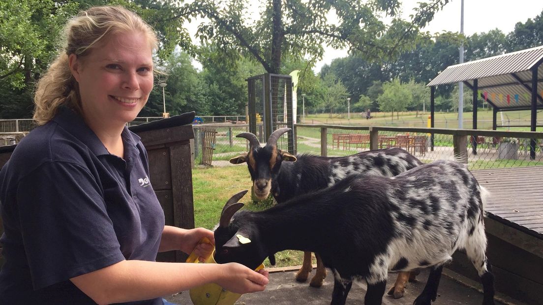 Kinderboerderij Oldenzaal