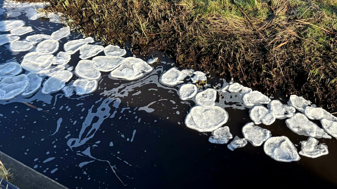 IIspankoeken ûntstean lâns de wetterkant