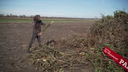 Regels voor paasvuren stapelen zich op, is het organiseren van de traditie nog wel te doen?