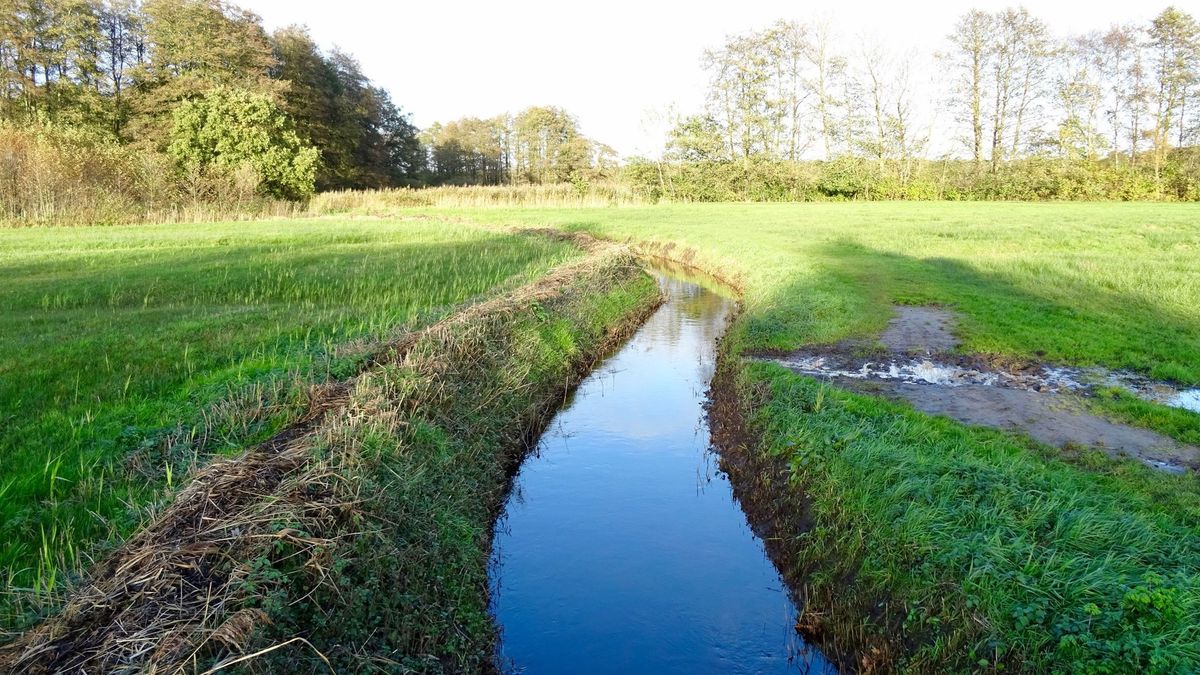 Op pad in de Drentse natuur: Zeegserloopje