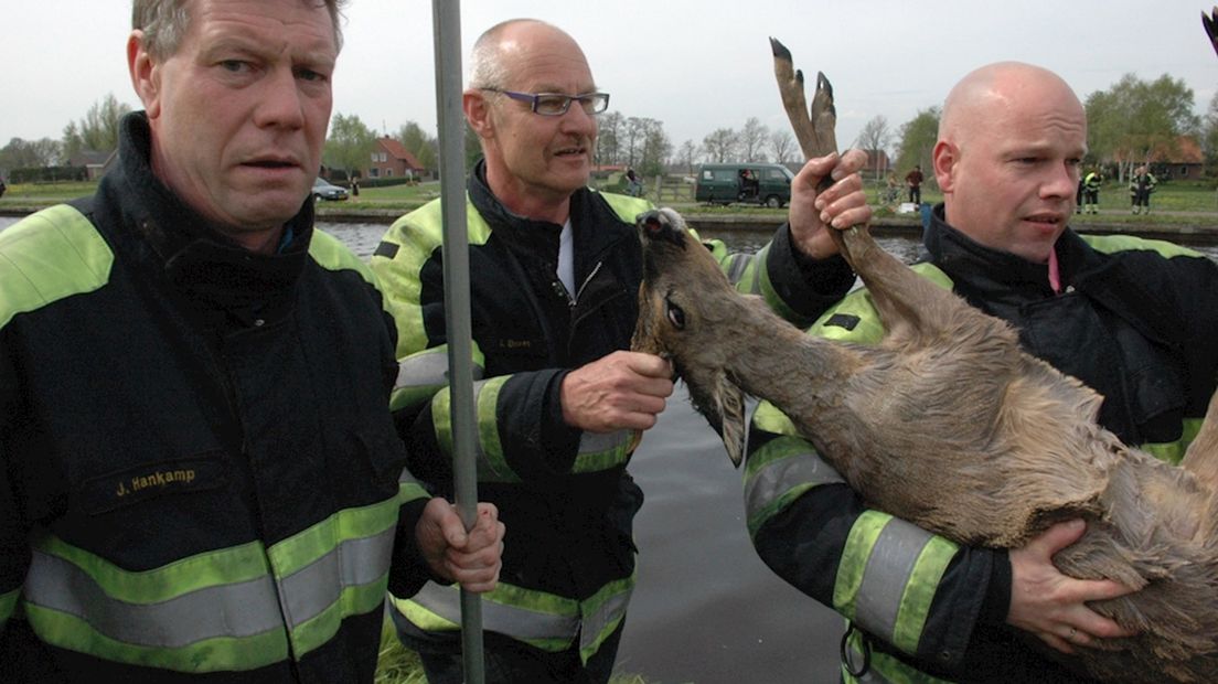 Ree uit kanaal gered