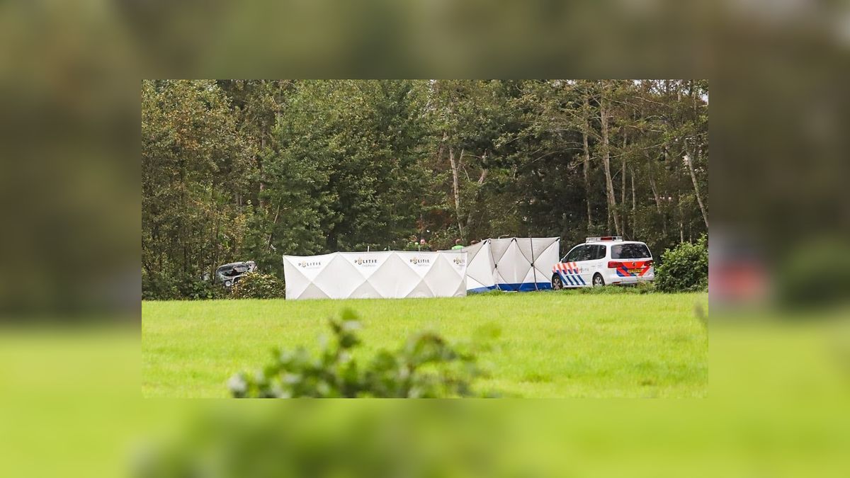 'Heftige' nacht in Boelenslaan: 