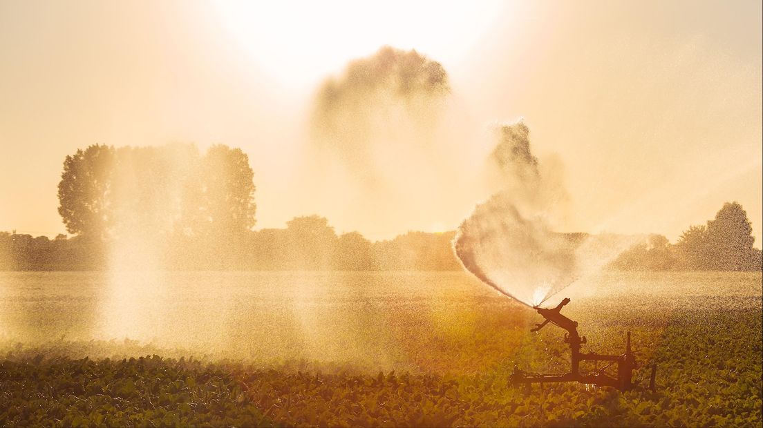 Waterschap alert op droogte