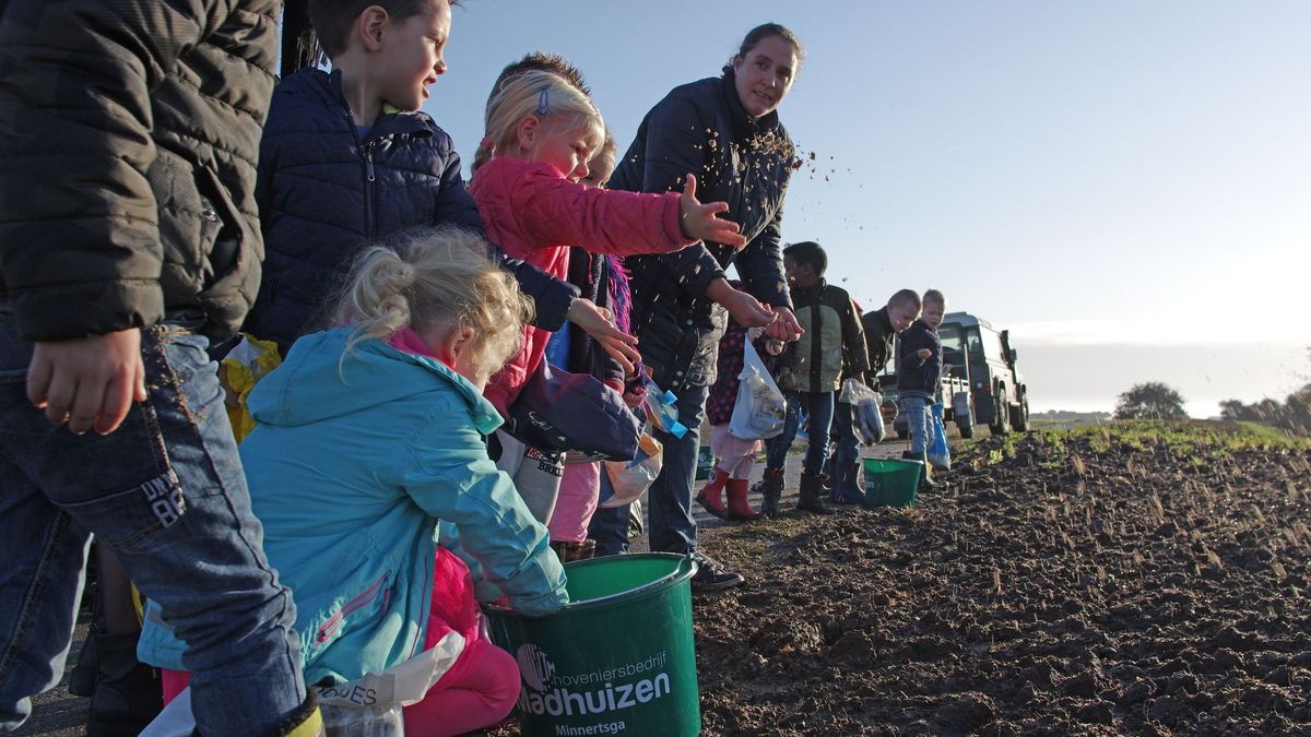 Griene Dyk tussen Minnertsga en St.-Jacobiparochie wordt 'vlinderidylle'