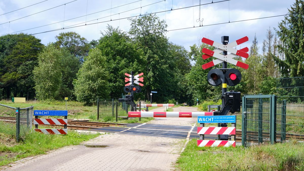 Verzakking onder wissel bij Maasbracht: treinverkeer 45 minuten stilgelegd