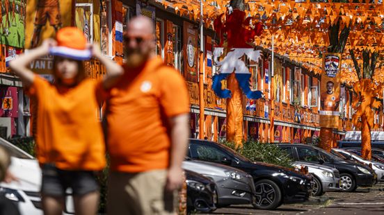 WK-koorts botst met bomenbelang op Marktweg, PvdD vreest verstikking Home