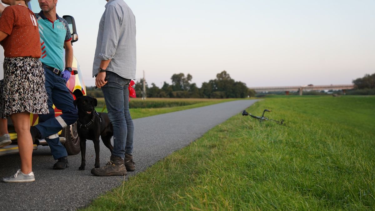 Wielrenner in IJsselmuiden gewond door loslopende hond