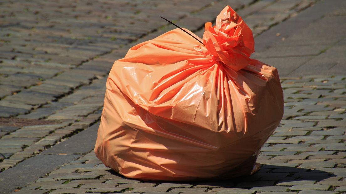 De partijen stellen onder meer een experiment voor om afvalvrij te leven (Rechten: pixabay.com)