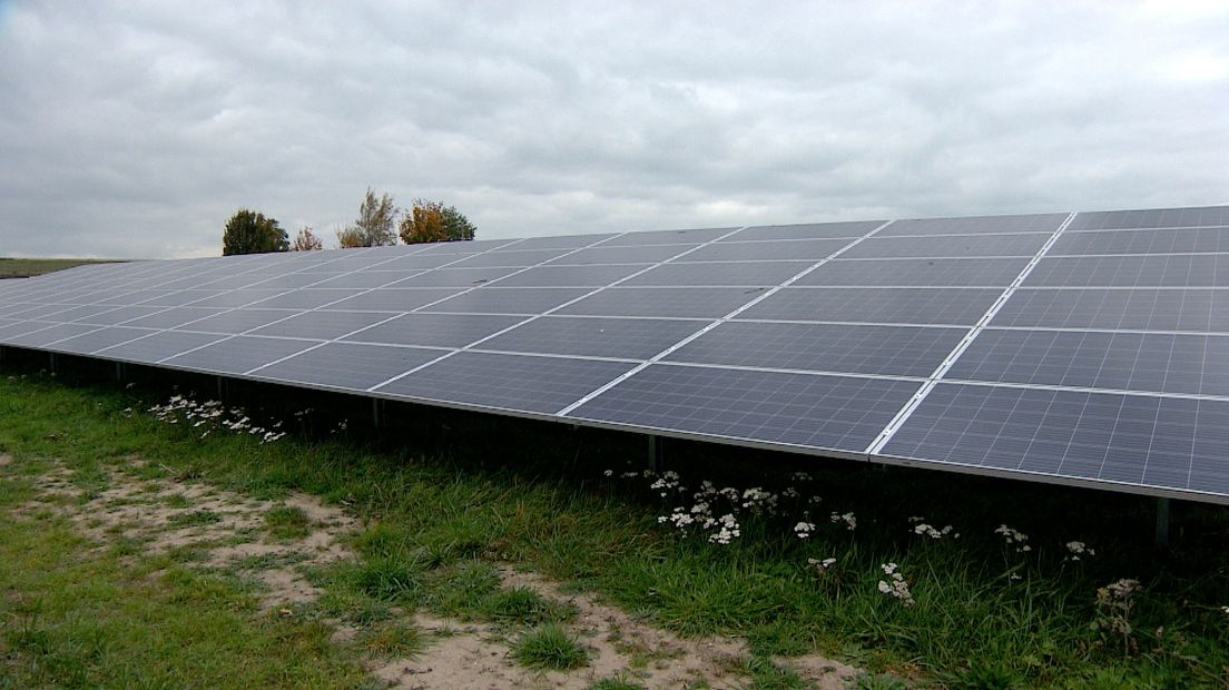 Evides opende vandaag het zonnepark op locatie Braakman in Zeeuws-Vlaanderen
