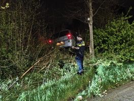112-nieuws | Auto slingert van weg en rijdt meters diep bosjes in, inzittenden gevlucht