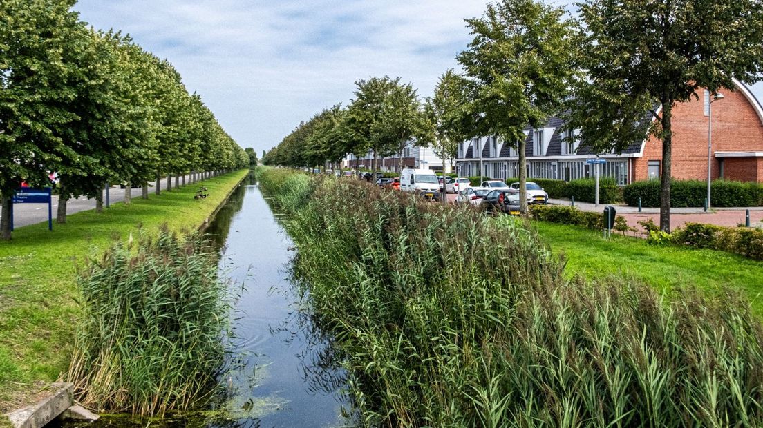 Ook in de sloten in deze woonwijk zijn kankerverwekkende stoffen gevonden