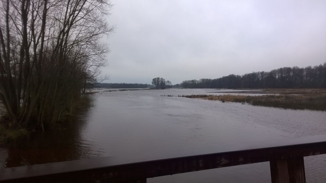 Er komen weer meer watervogels in het Deurzerdiep en het Anreeperdiep (Rechten: RTV Drenthe / Frits Emmelkamp)