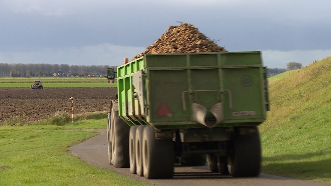 Producten worden van het land gehaald.