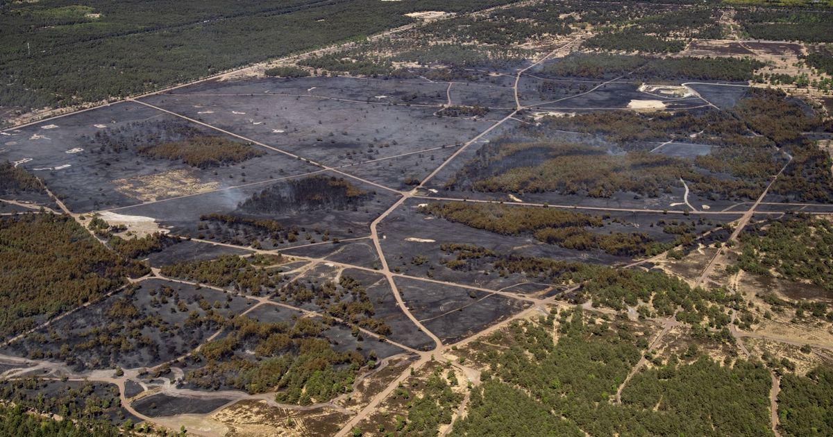 Brand Vandaag : ce qu'il faut savoir — image 2