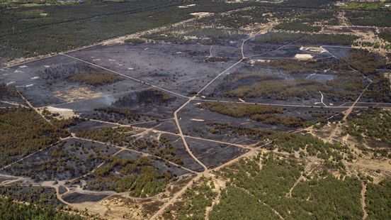 TERUGLEZEN | Tweede dag natuurbrand 't Harde: Geen uitbreiding verwacht • hulp uit Duitsland en Frankrijk