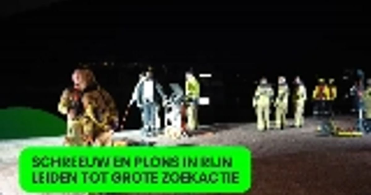 Schreeuw en plons in Rijn leiden tot grote zoekactie